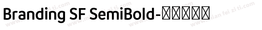 Branding SF SemiBold字体转换